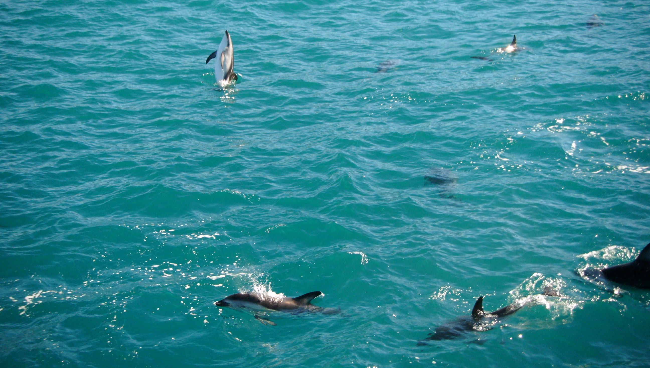 Kaikoura