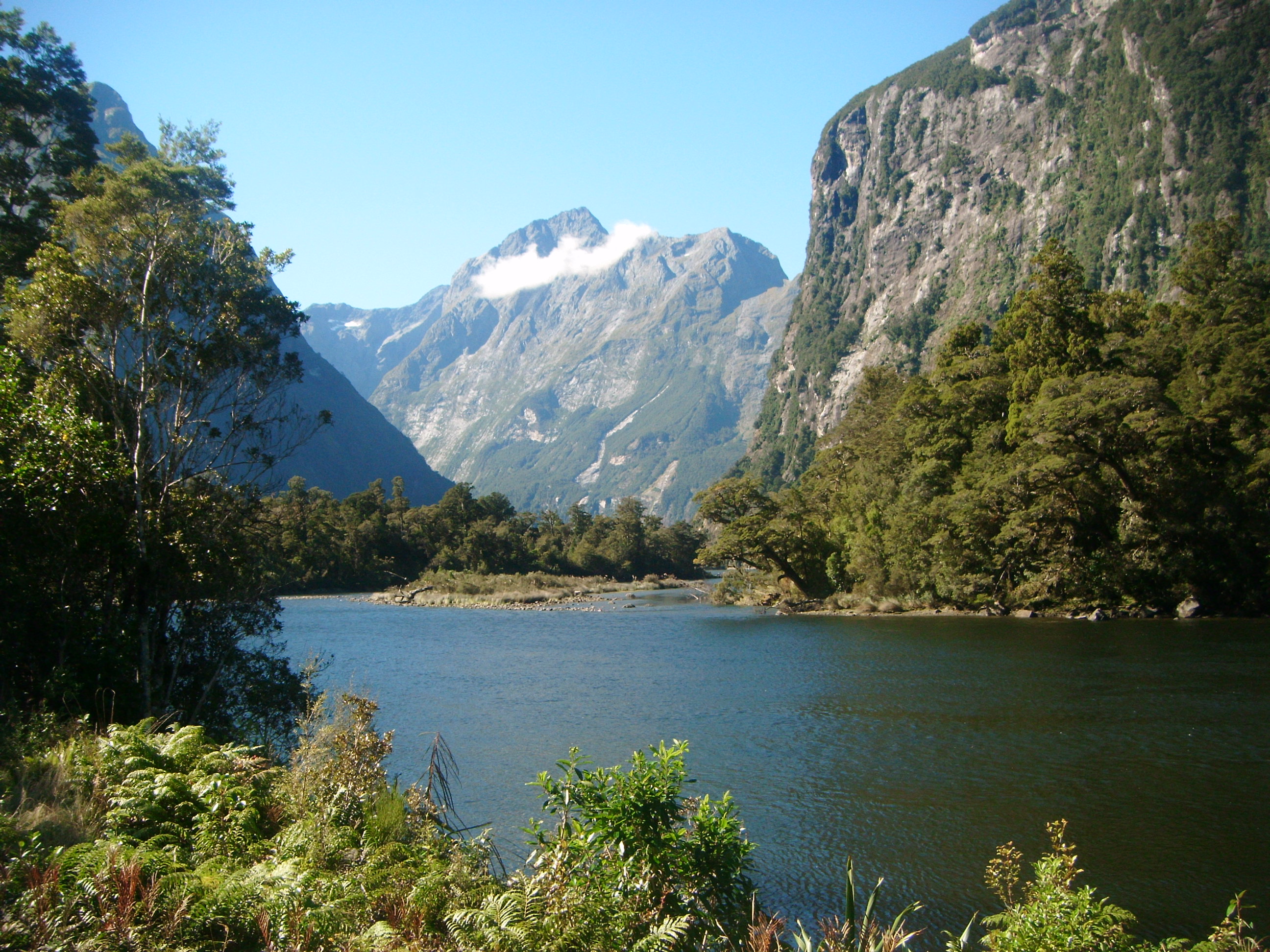 Milford Track