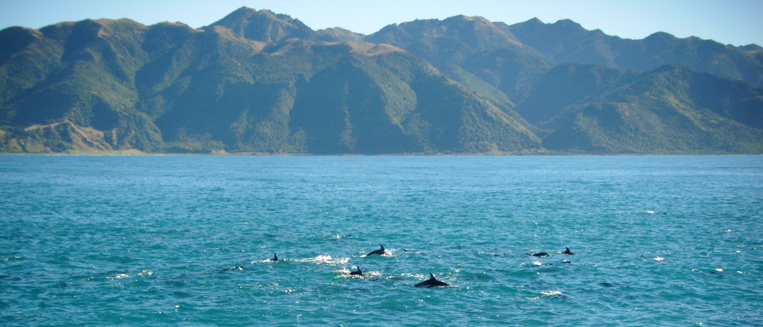 Kaikoura