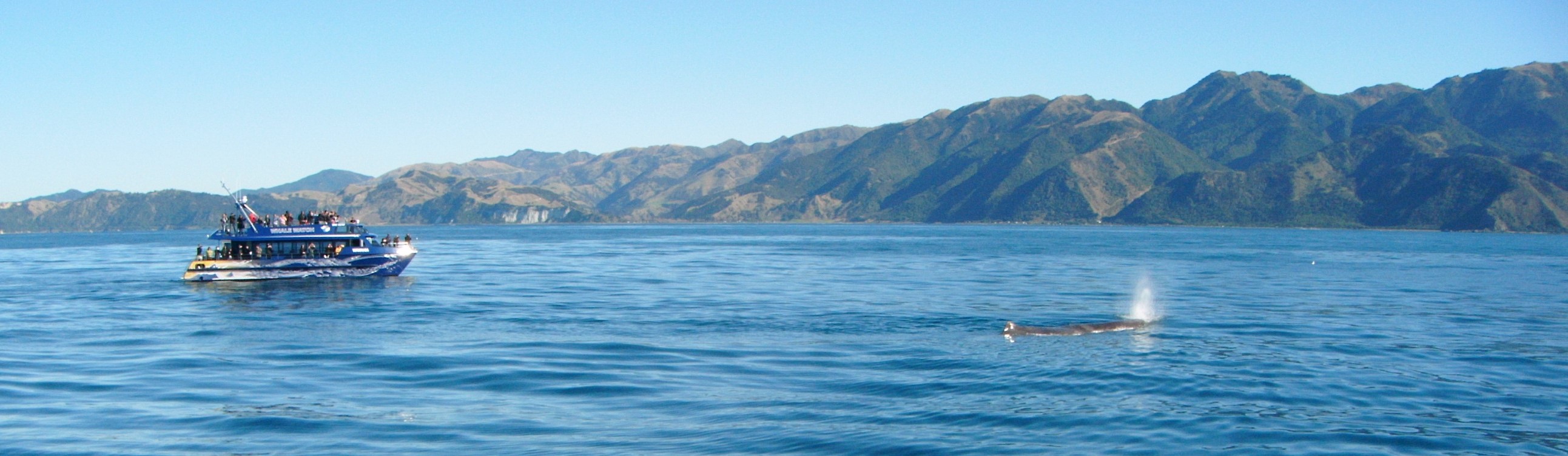 Kaikoura