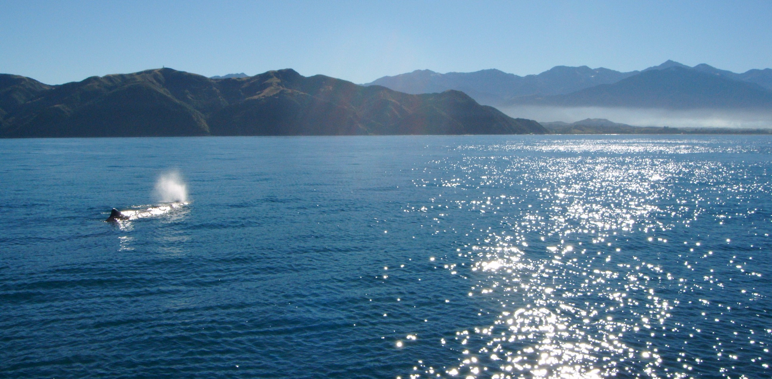 Kaikoura