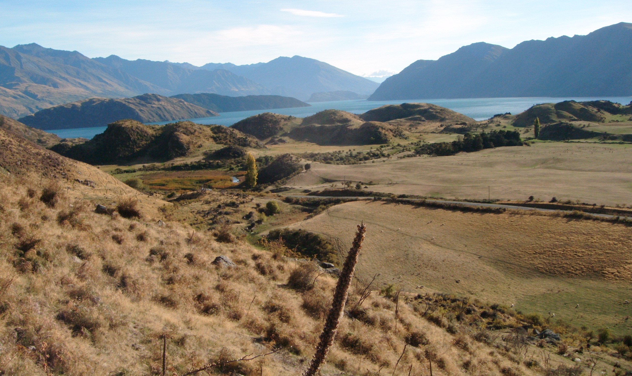 Roys Peak