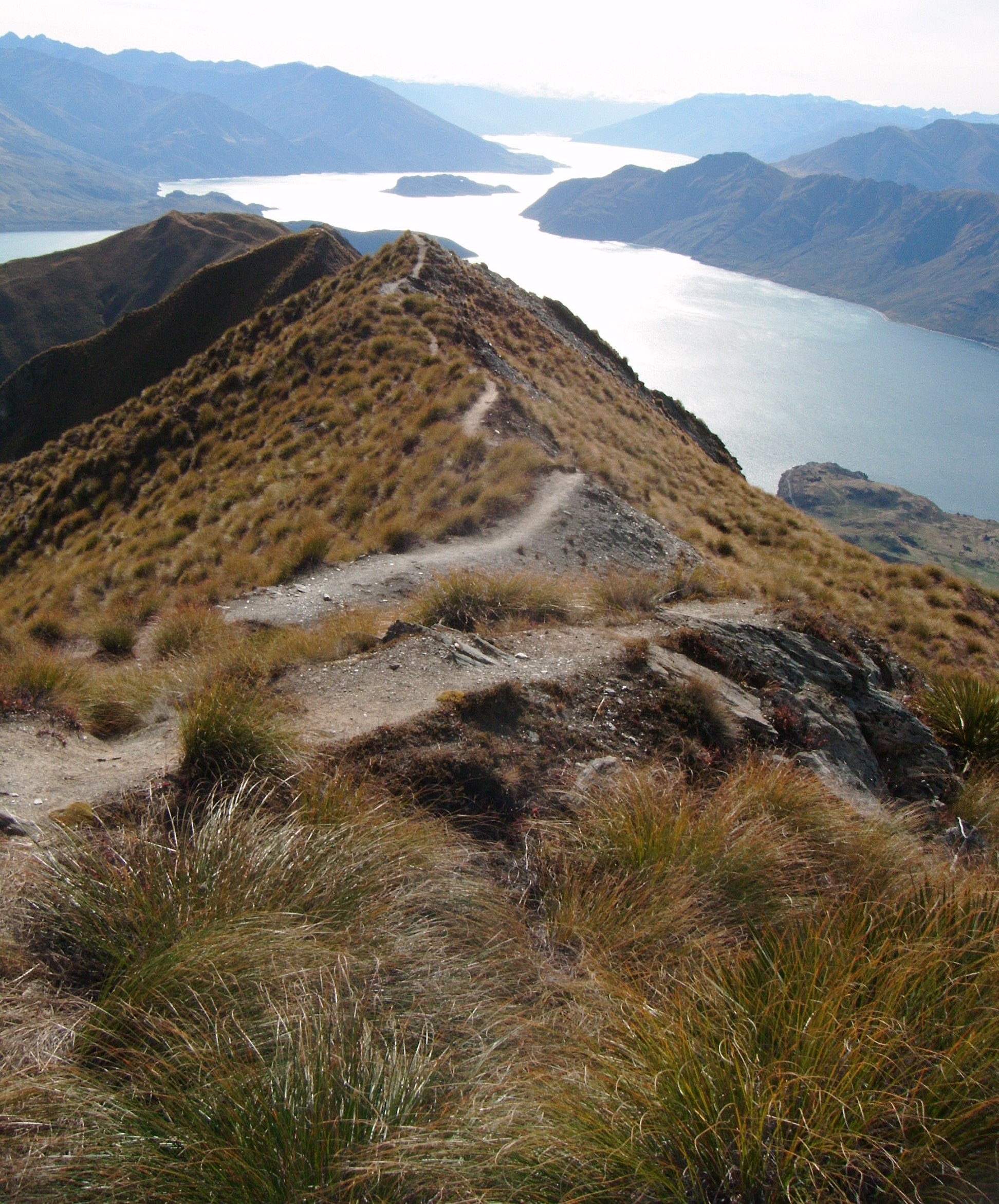Roys Peak