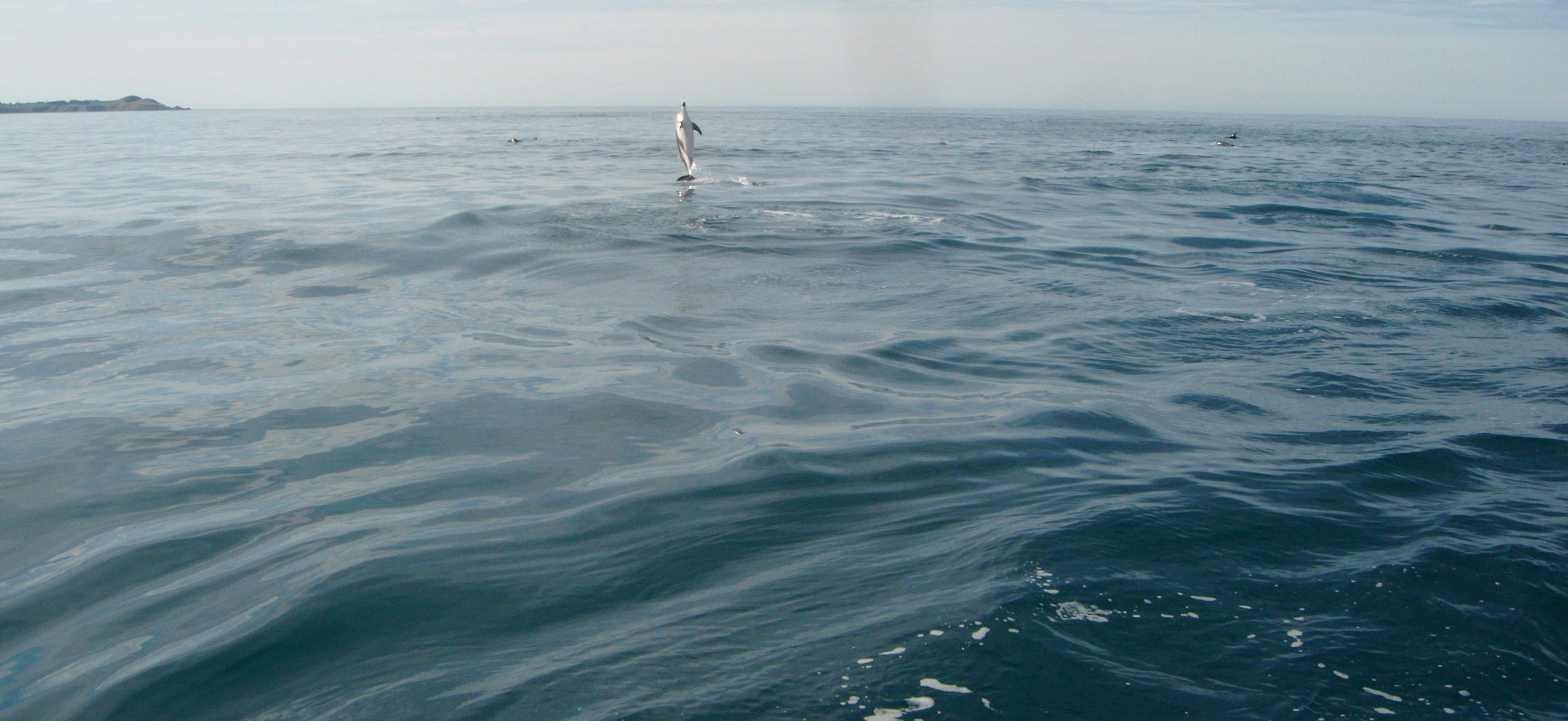 Kaikoura