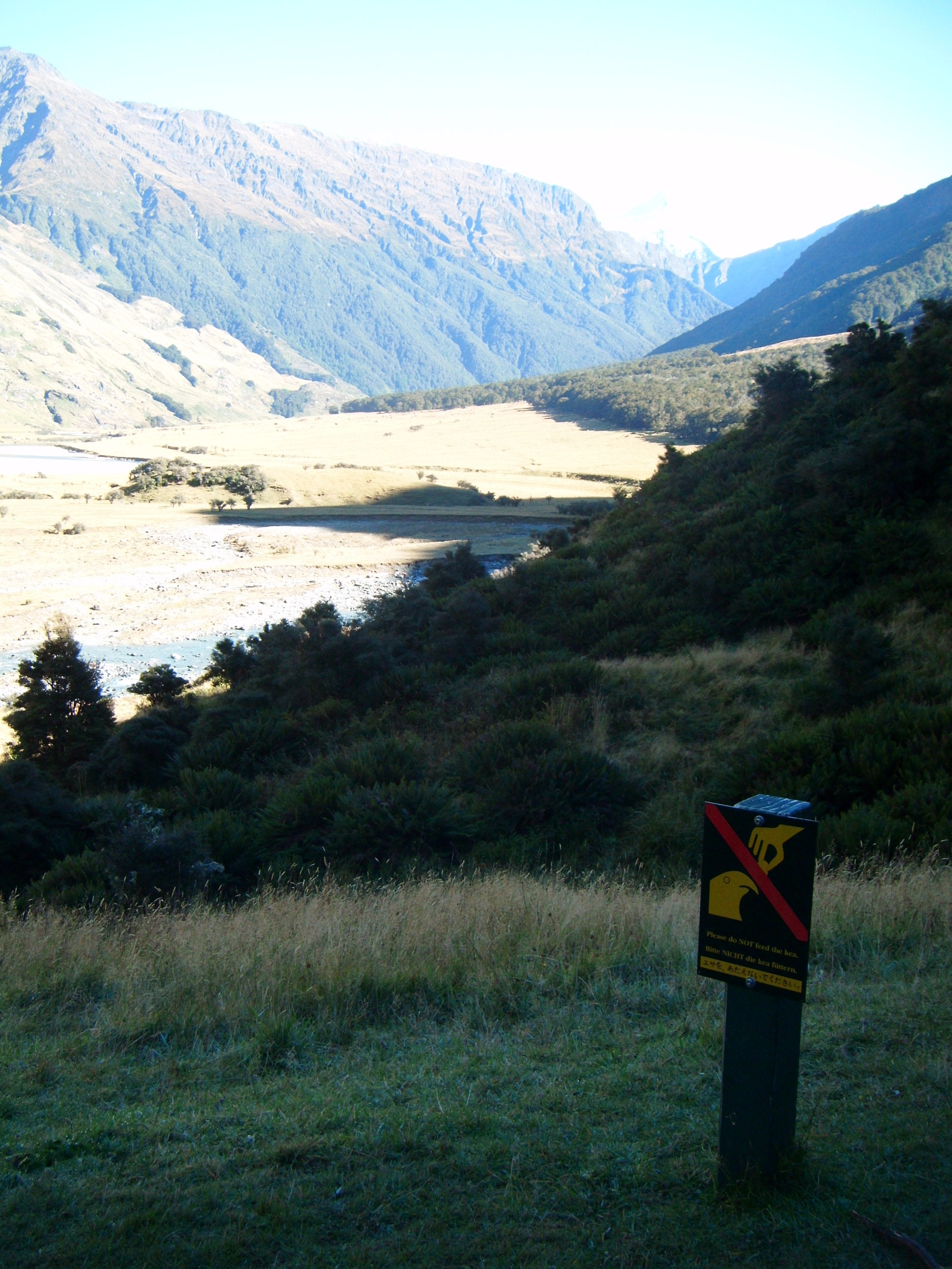 Rob Roy Glacier