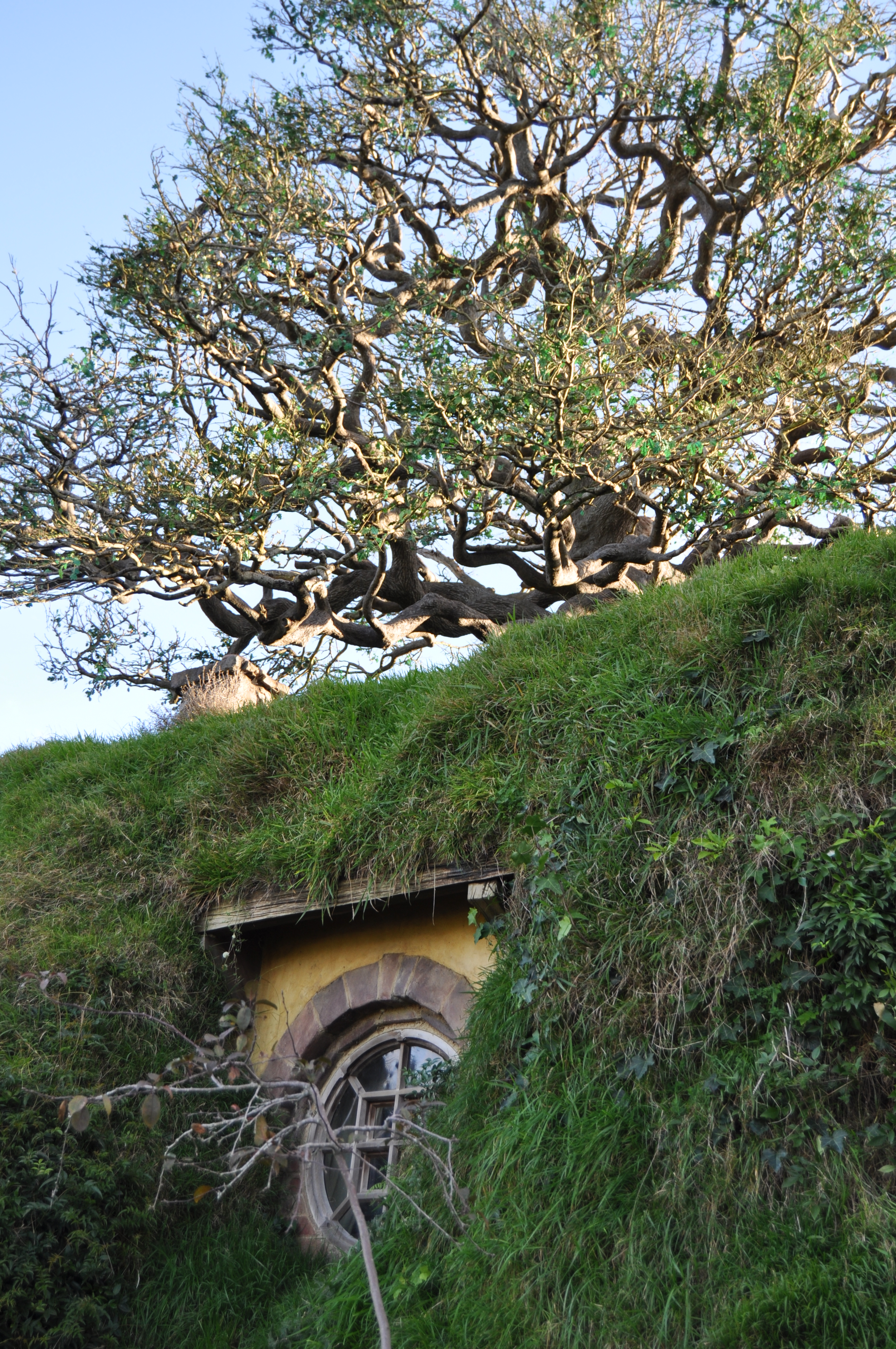 Hobbiton