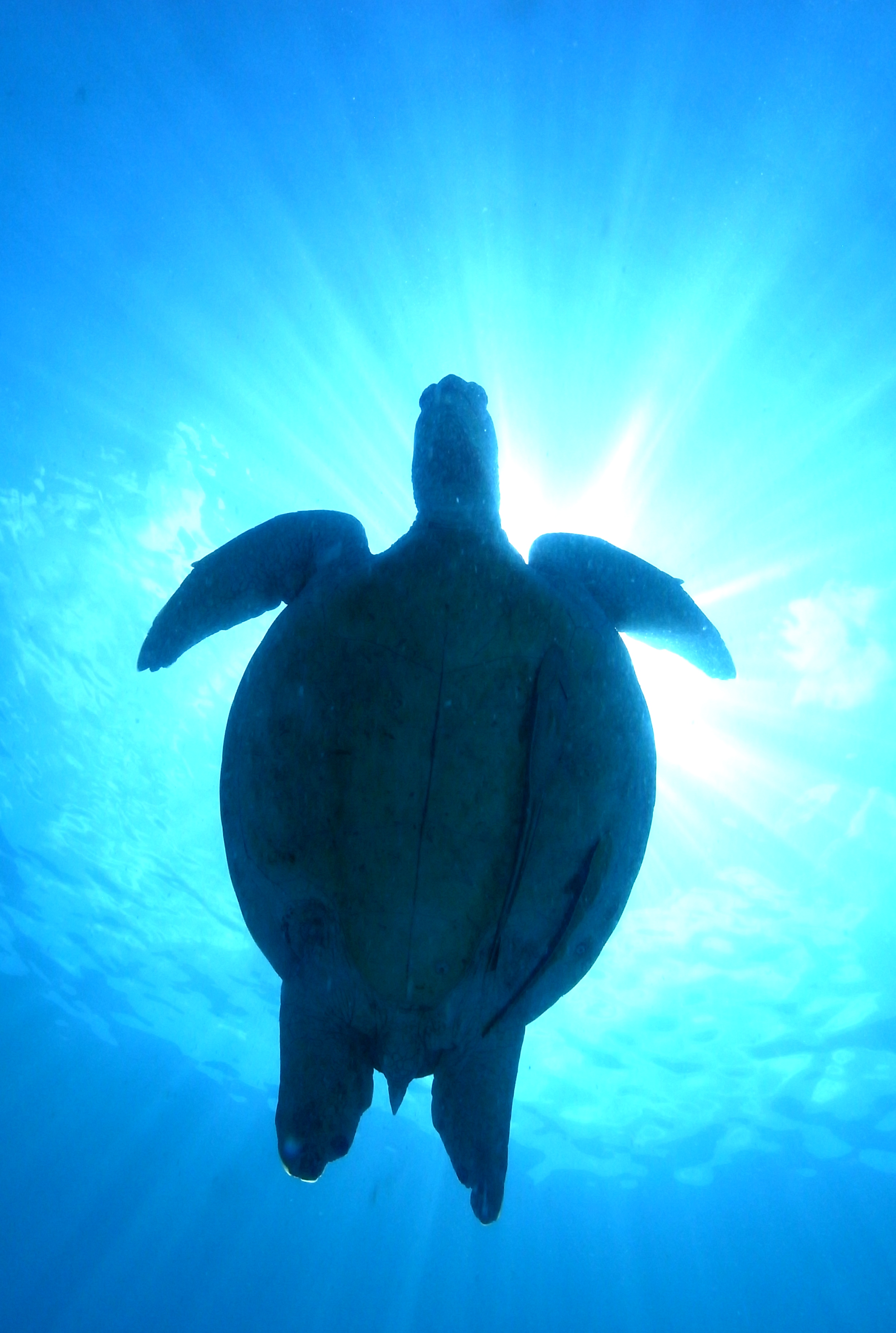 Perhentian Islands