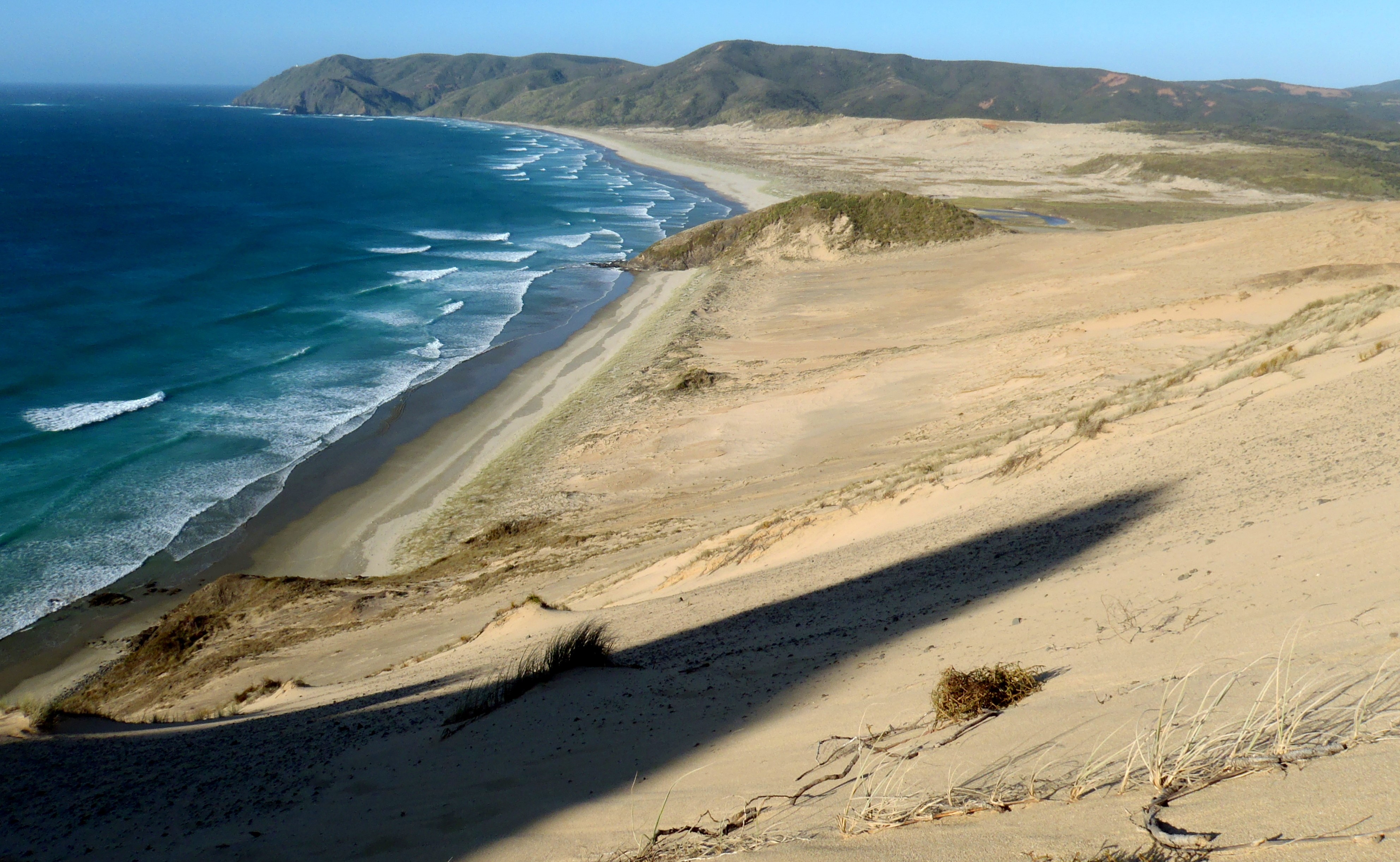 New Zealand