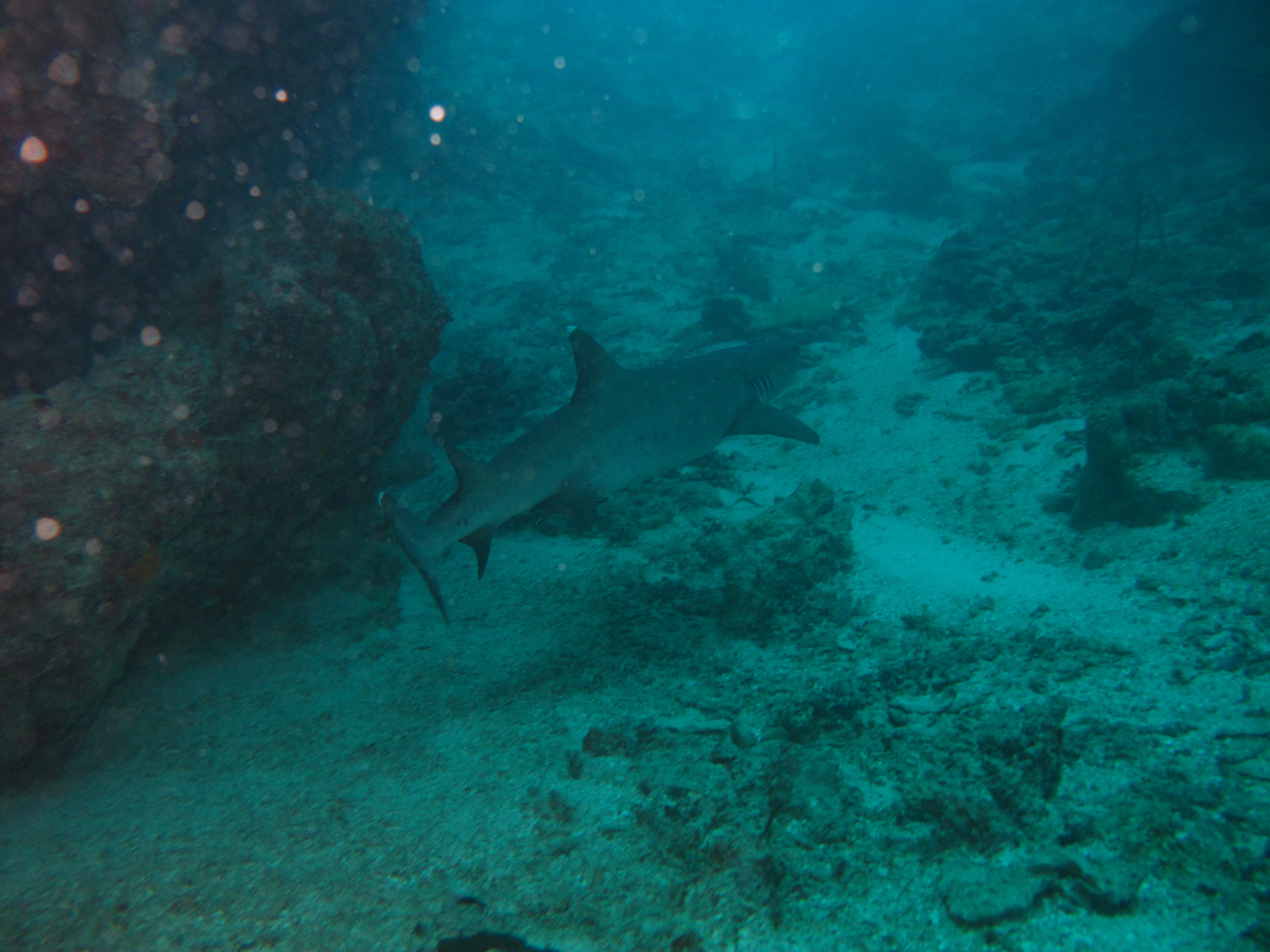 Whitsundays