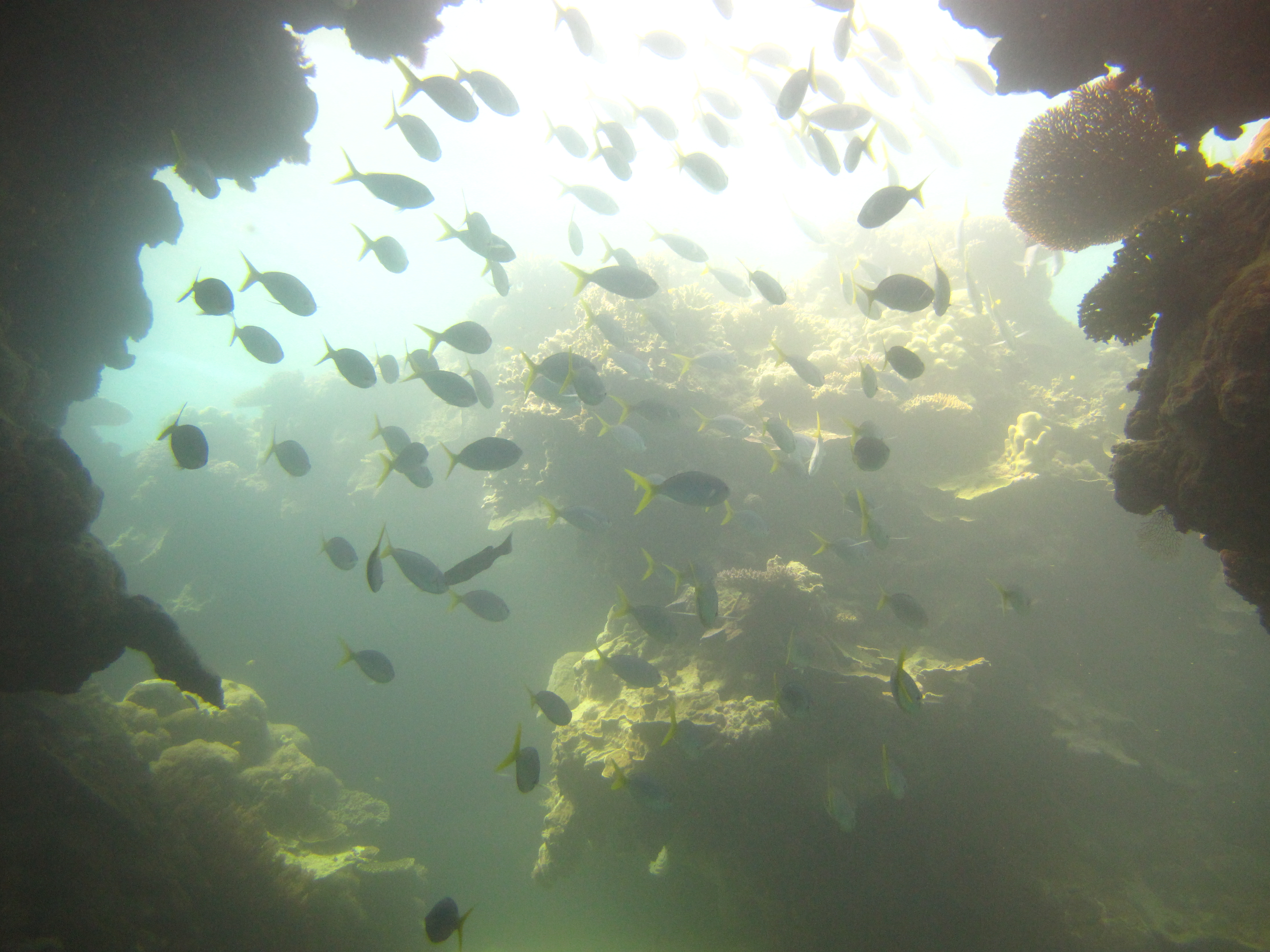 Whitsundays