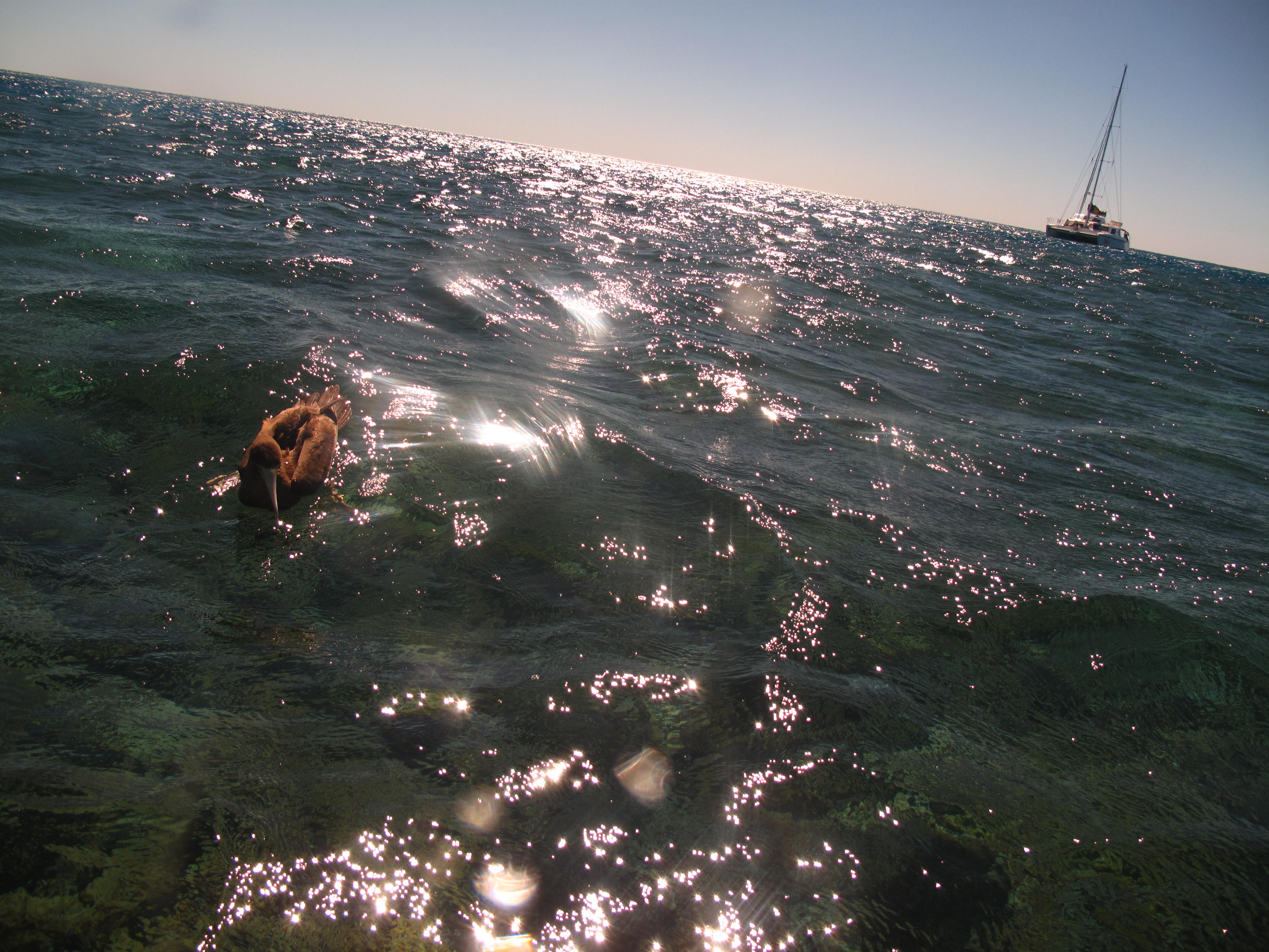 Whitsundays