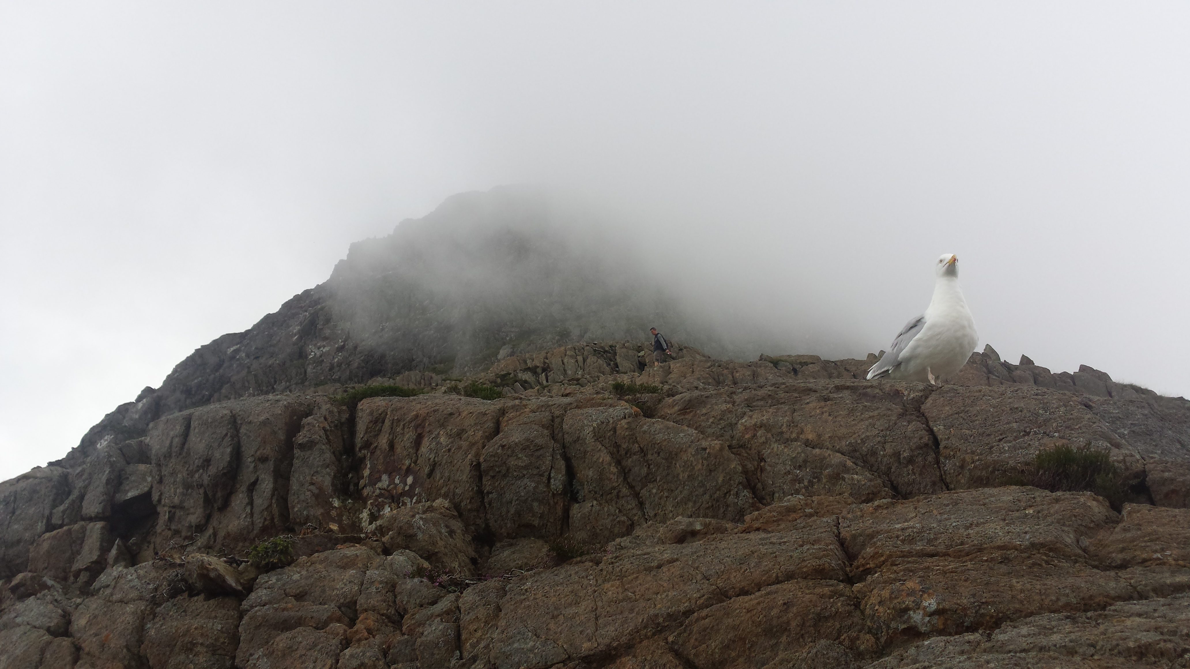 Snowdon Crib Goch