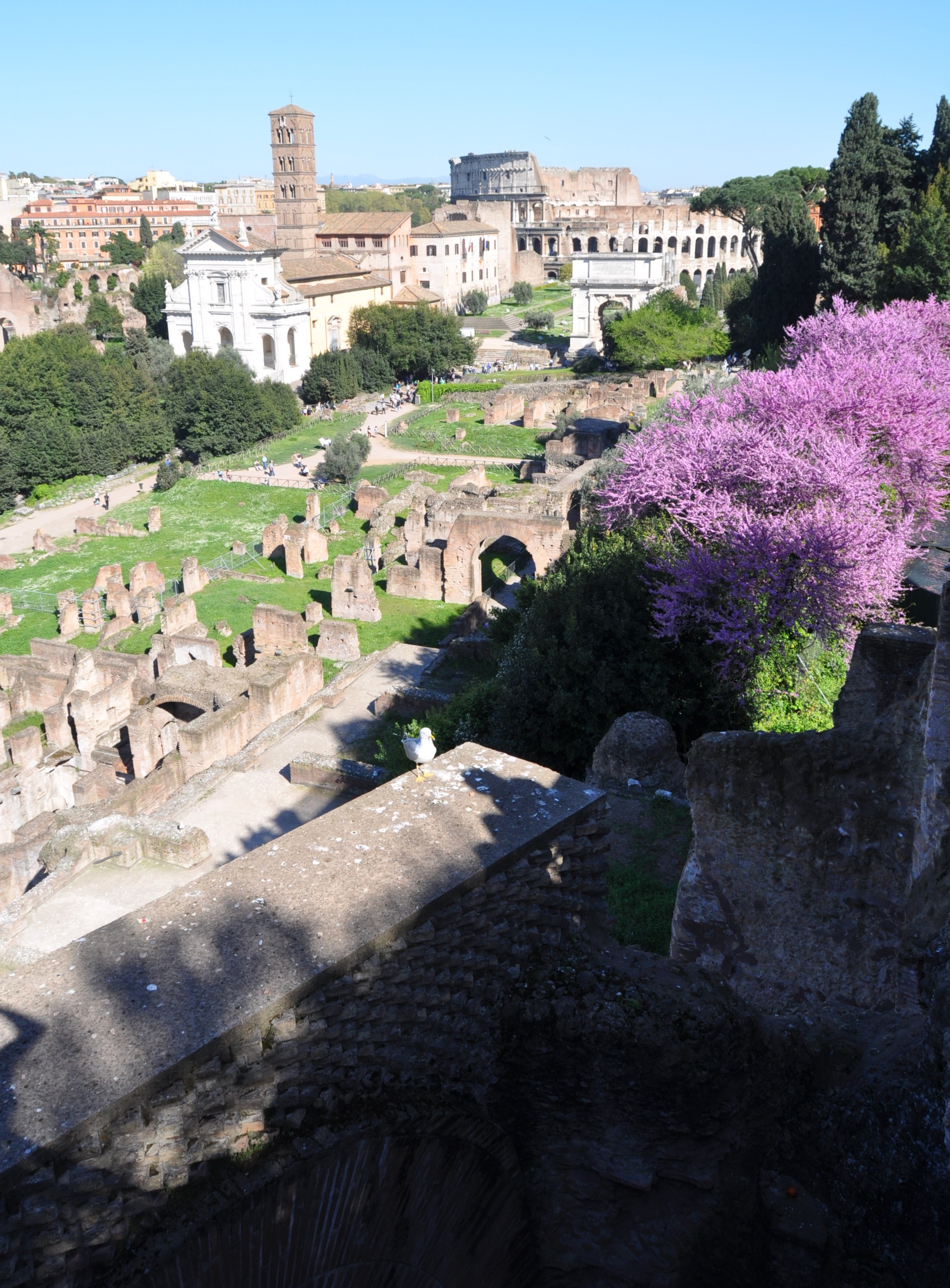 Rome