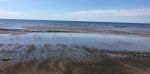Wales Coastal Path