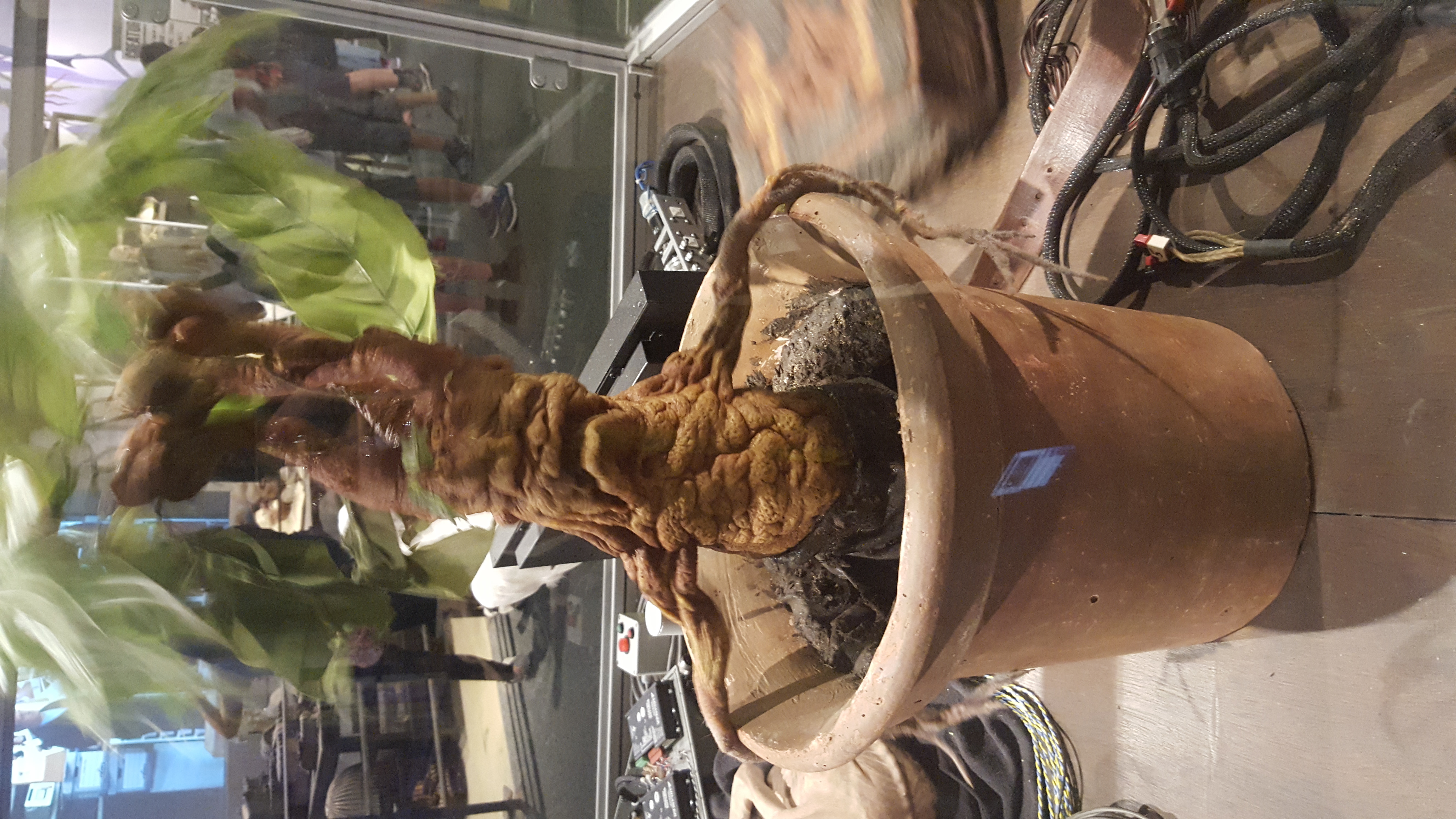 Harry Potter Tour