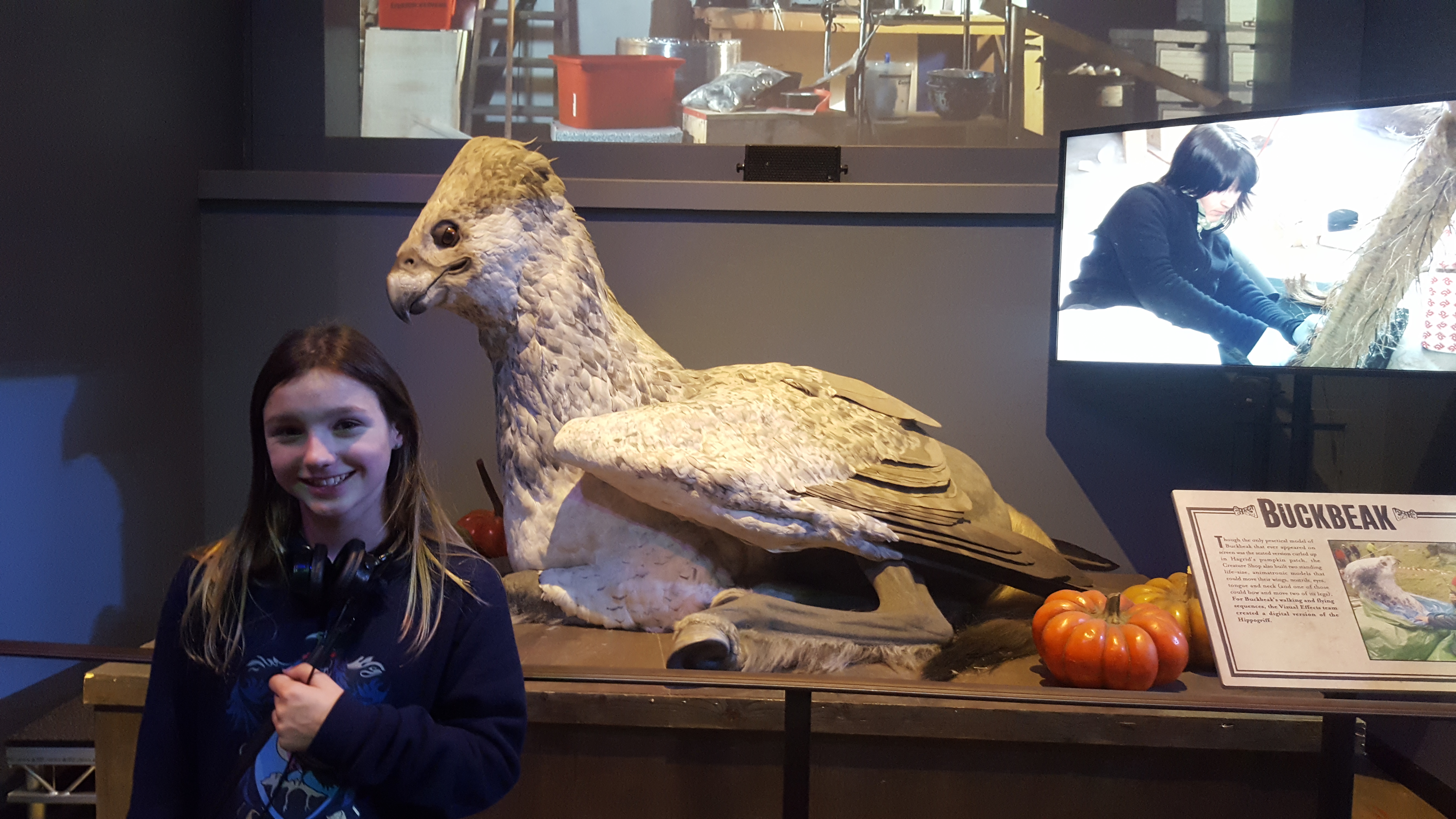Harry Potter Tour