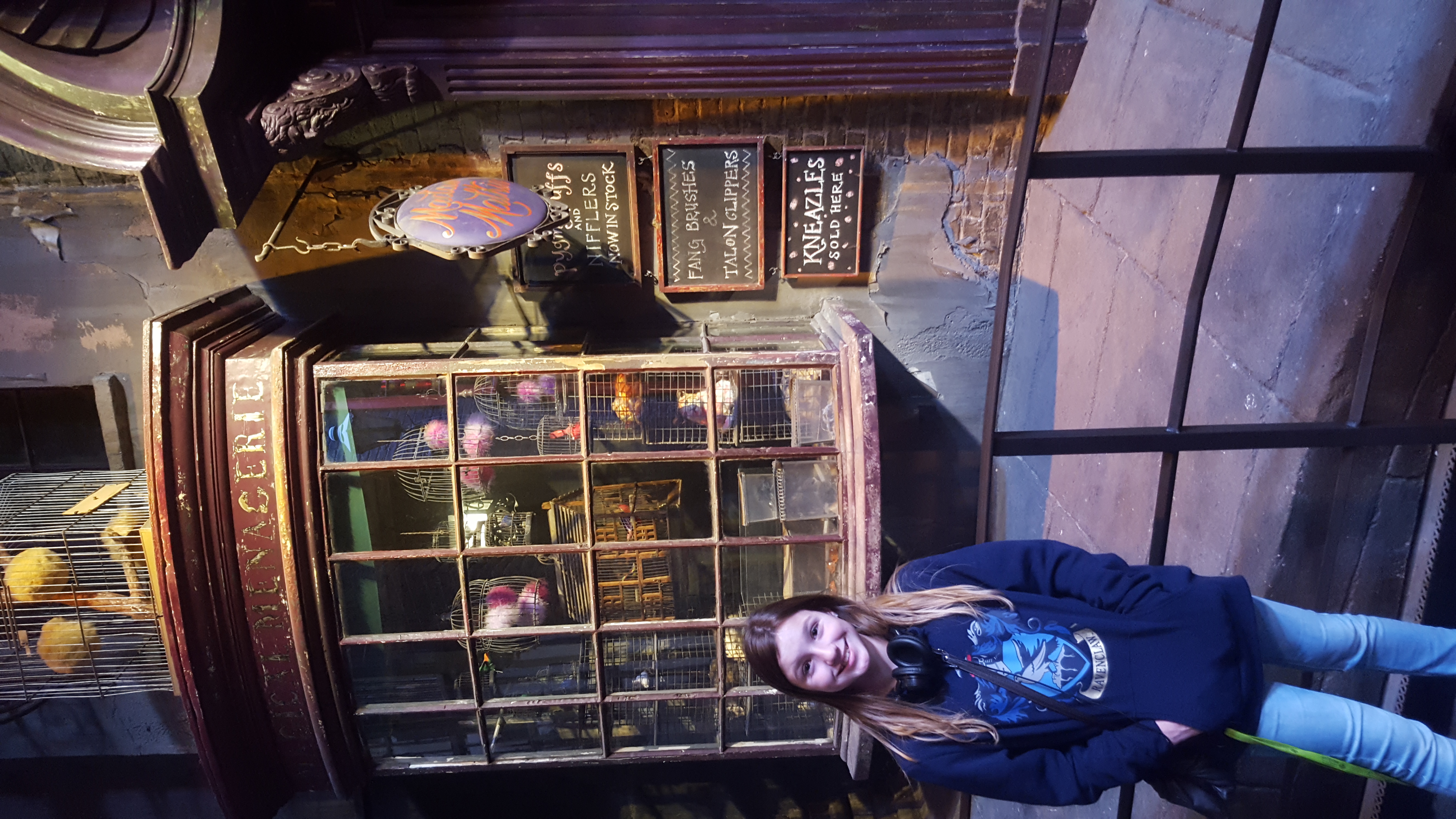 Harry Potter Tour
